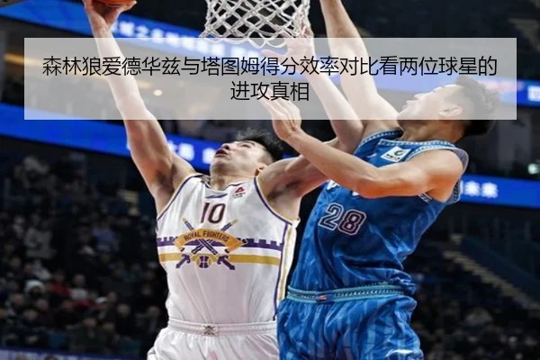 森林狼爱德华兹与塔图姆得分效率对比看两位球星的进攻真相 - kaiyun